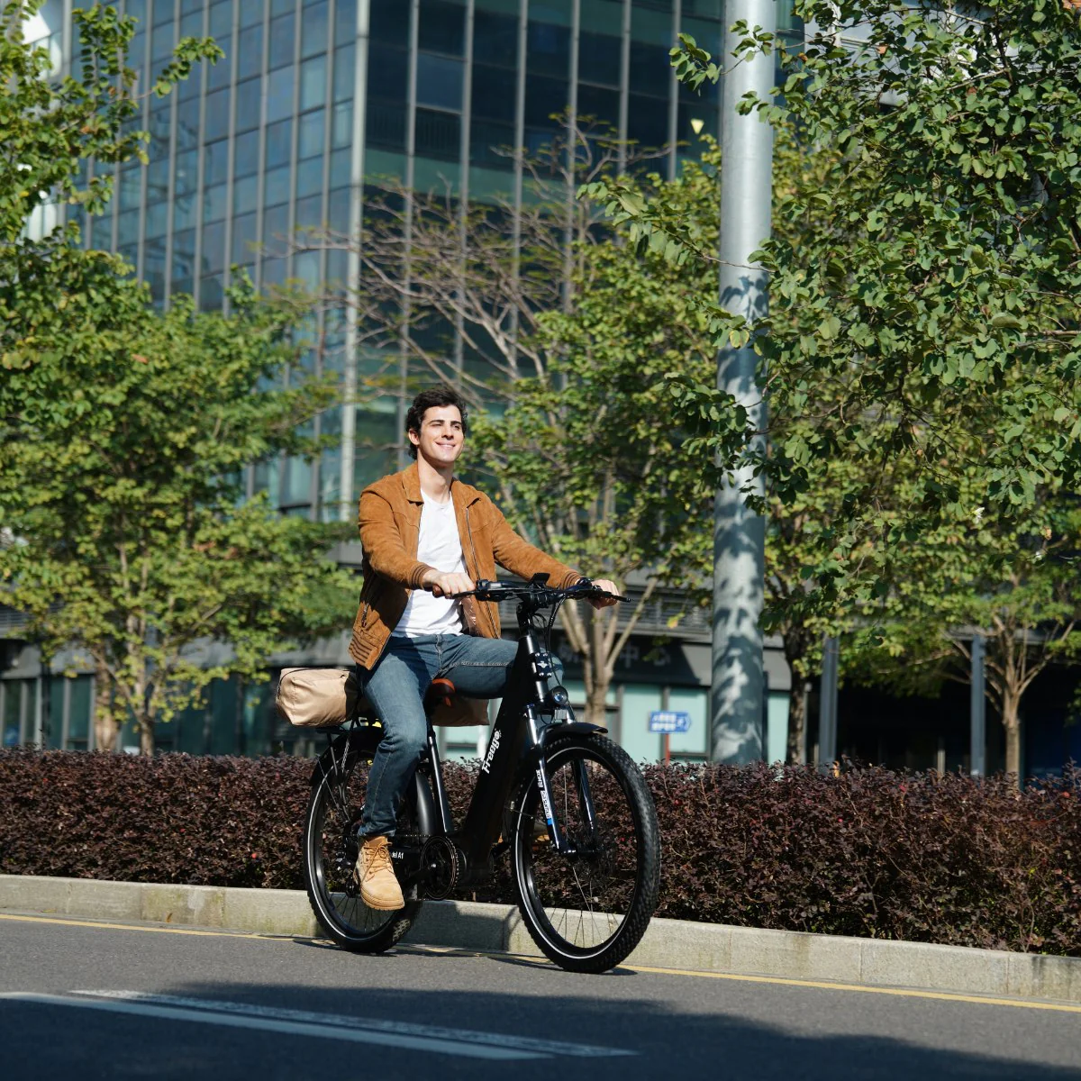 Freego City Flow A1 eBike - Image 6
