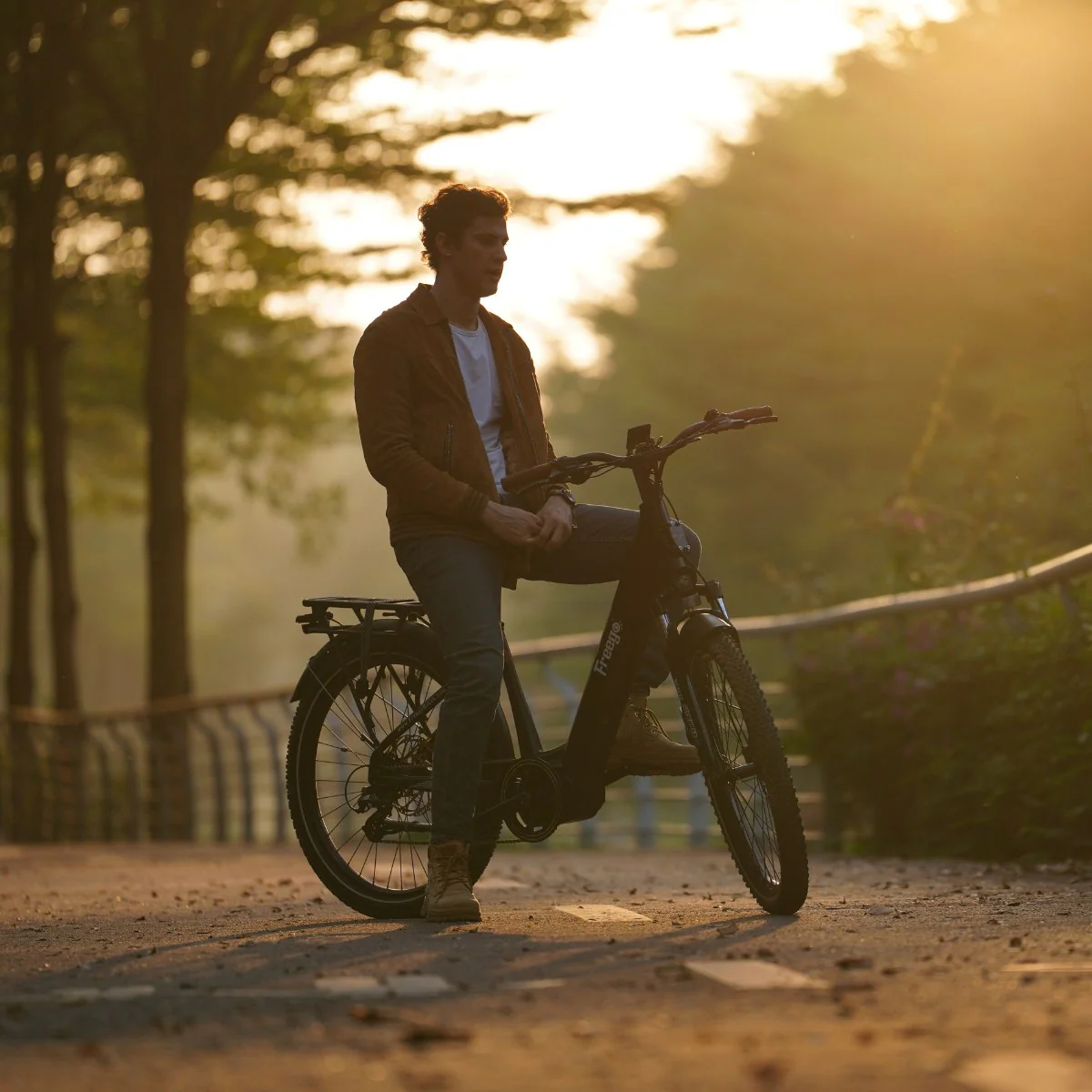Freego City Flow A1 eBike - Image 7