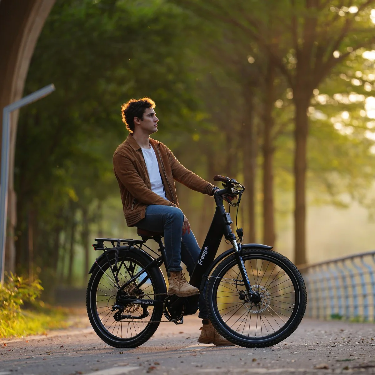 Freego City Flow A1 eBike - Image 8