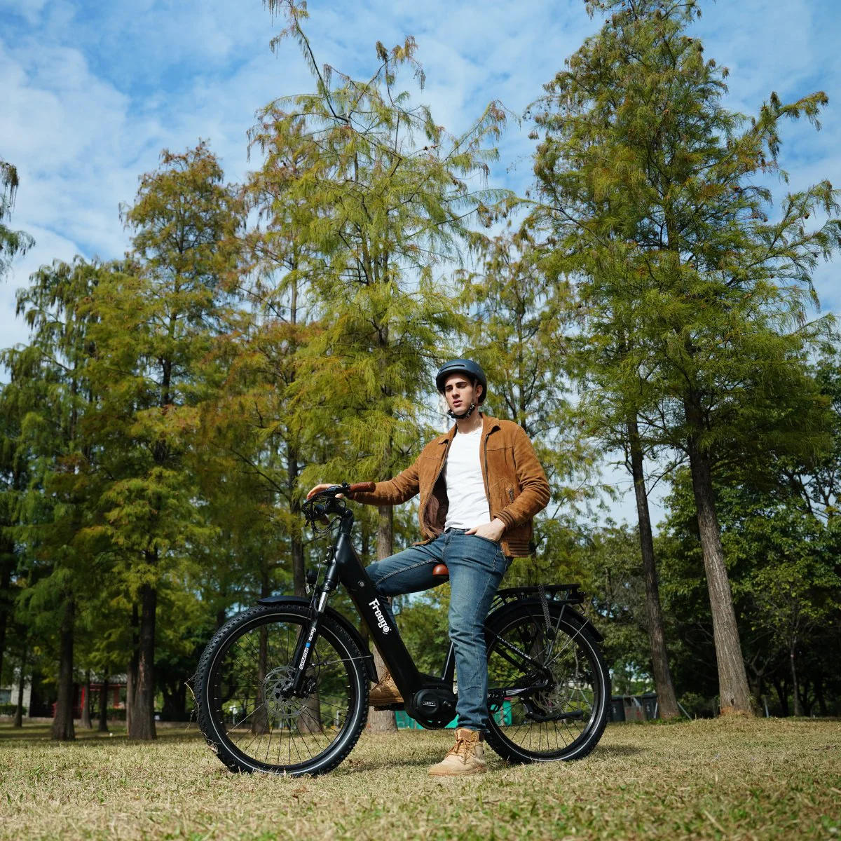 Freego City Flow A1 eBike - Image 9