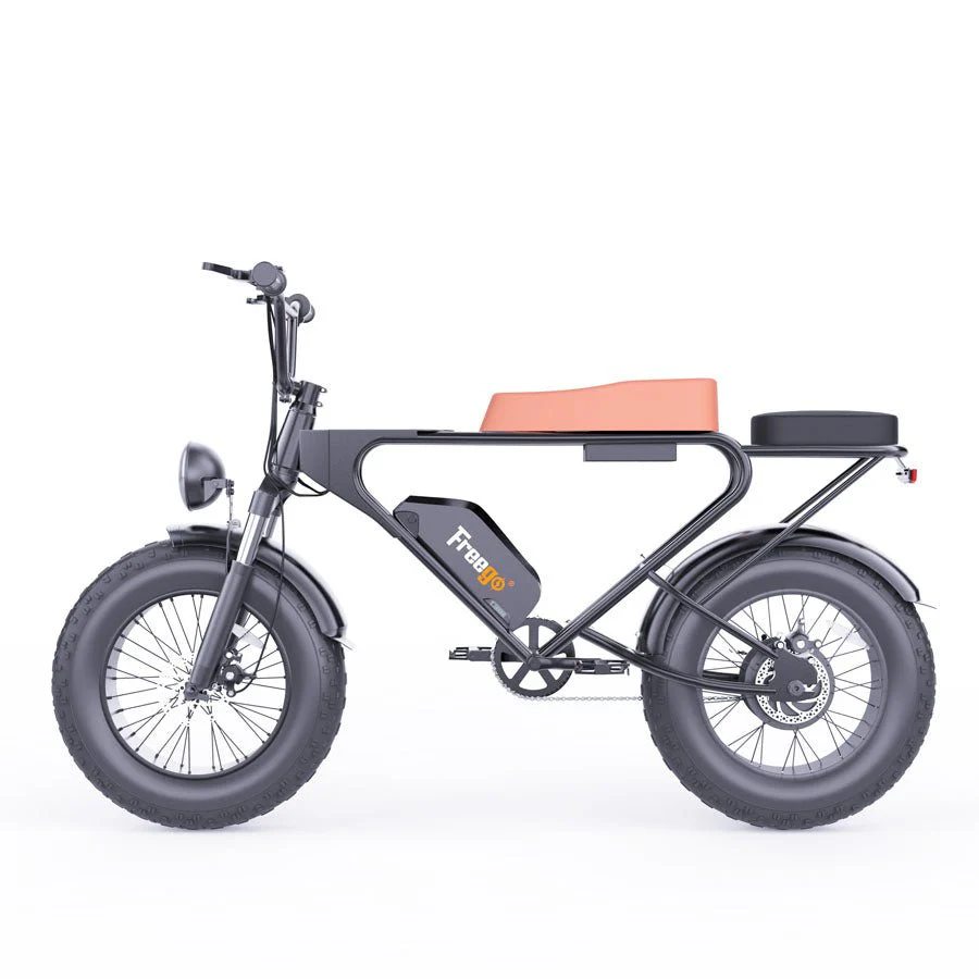 Freego DK200 Off Road Mountain Electric Bike 20'' Fat tires 20Ah Lithium Battery - Image 11