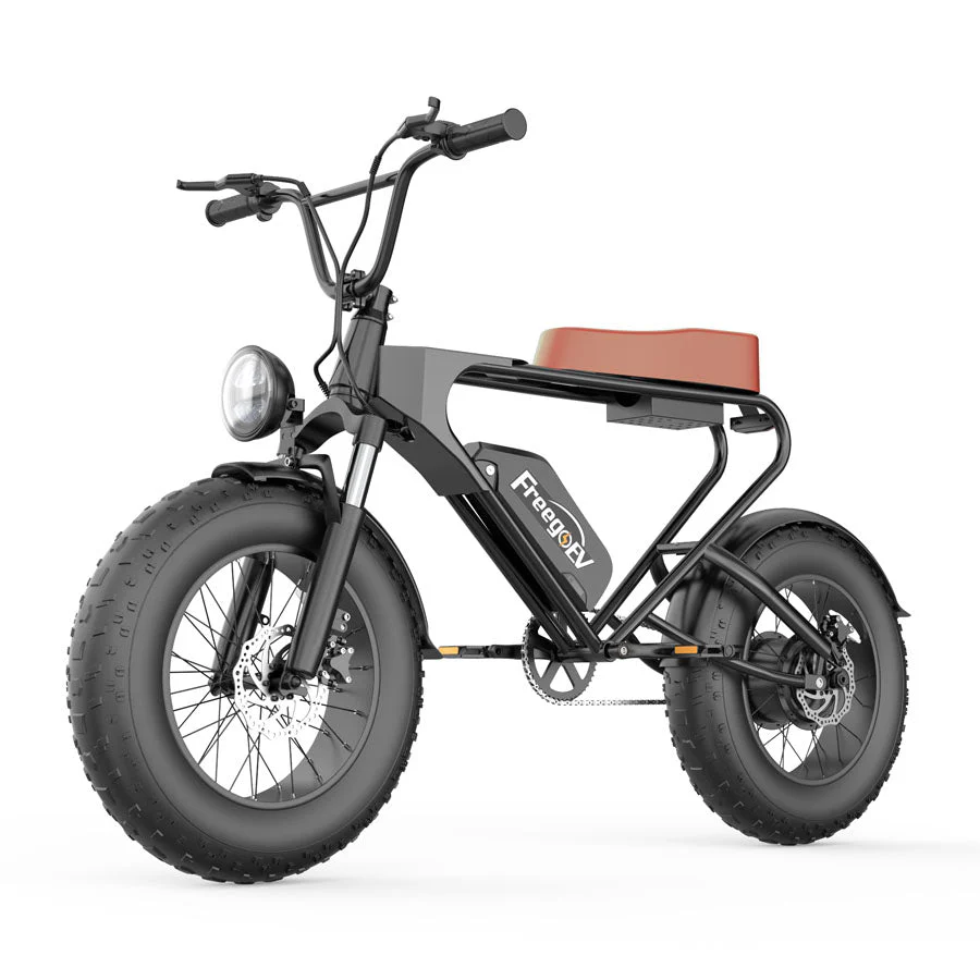 Freego DK200 Off Road Mountain Electric Bike 20'' Fat tires 20Ah Lithium Battery - Image 3