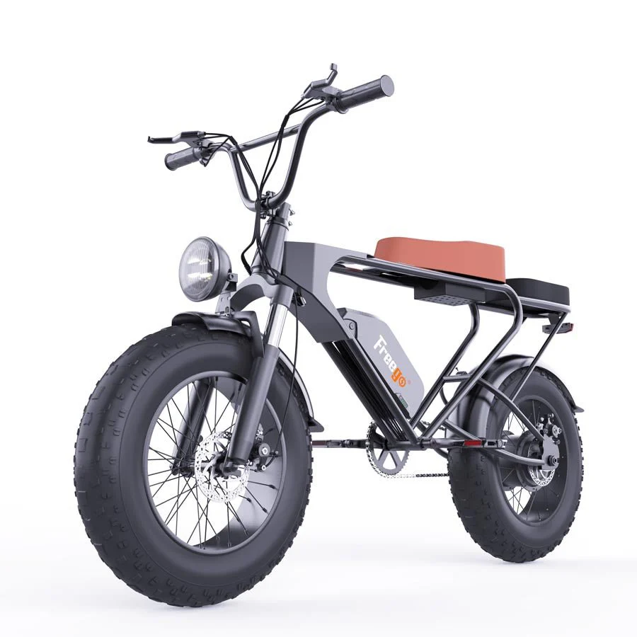 Freego DK200 Off Road Mountain Electric Bike 20'' Fat tires 20Ah Lithium Battery - Image 4