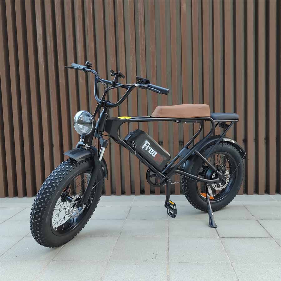 Freego DK200 Off Road Mountain Electric Bike 20'' Fat tires 20Ah Lithium Battery - Image 6