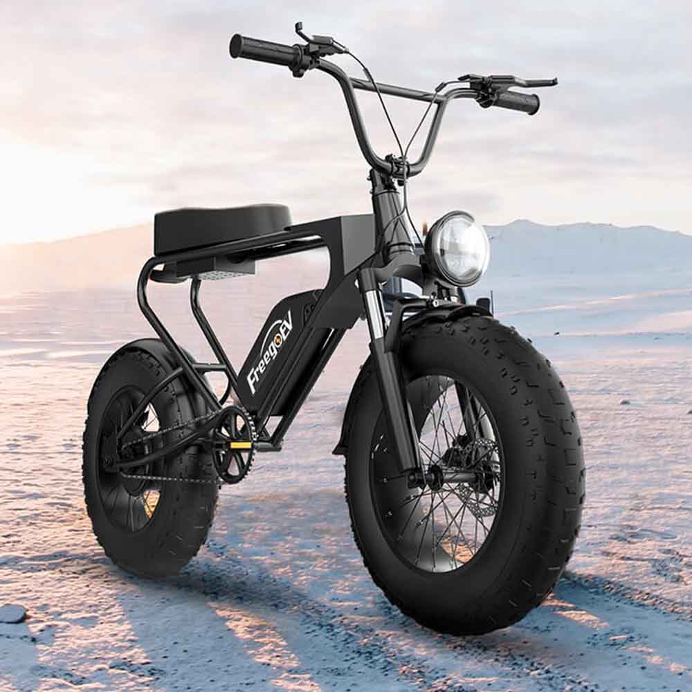 Freego DK200 Off Road Mountain Electric Bike 20'' Fat tires 20Ah Lithium Battery - Image 8