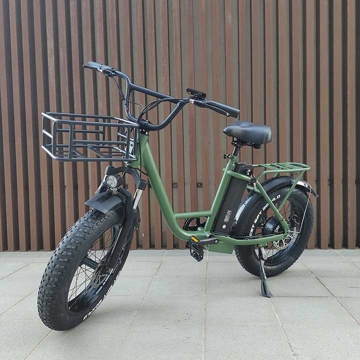 Freego FB-20X Step-thru Fat Tire Electric Bike - Image 11