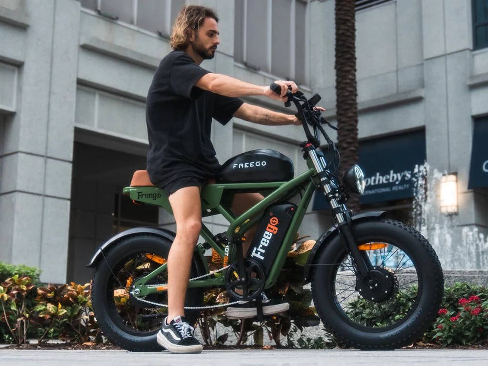 Freego Flash F3 Pro Dual Motor and Battery eBike - Image 3