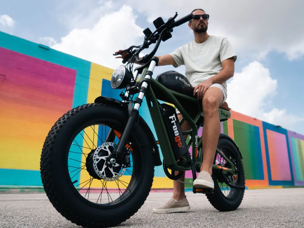 Freego Flash F3 Pro Dual Motor and Battery eBike - Image 4