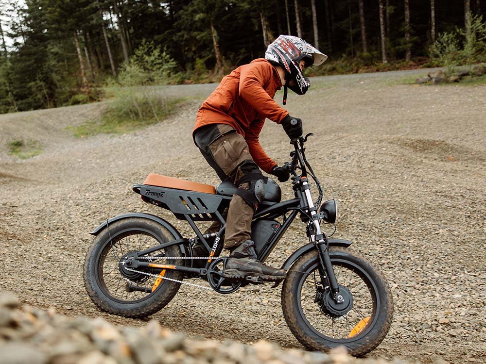 Freego Flash F3 Pro Dual Motor and Battery eBike - Image 8