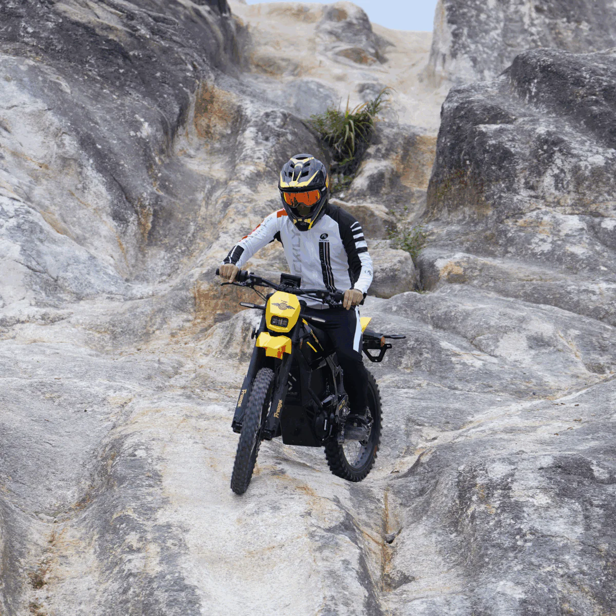Freego Nova 5 / Nova 5 Pro Mid-Drive Off-Road Electric Dirt Bike - Image 18
