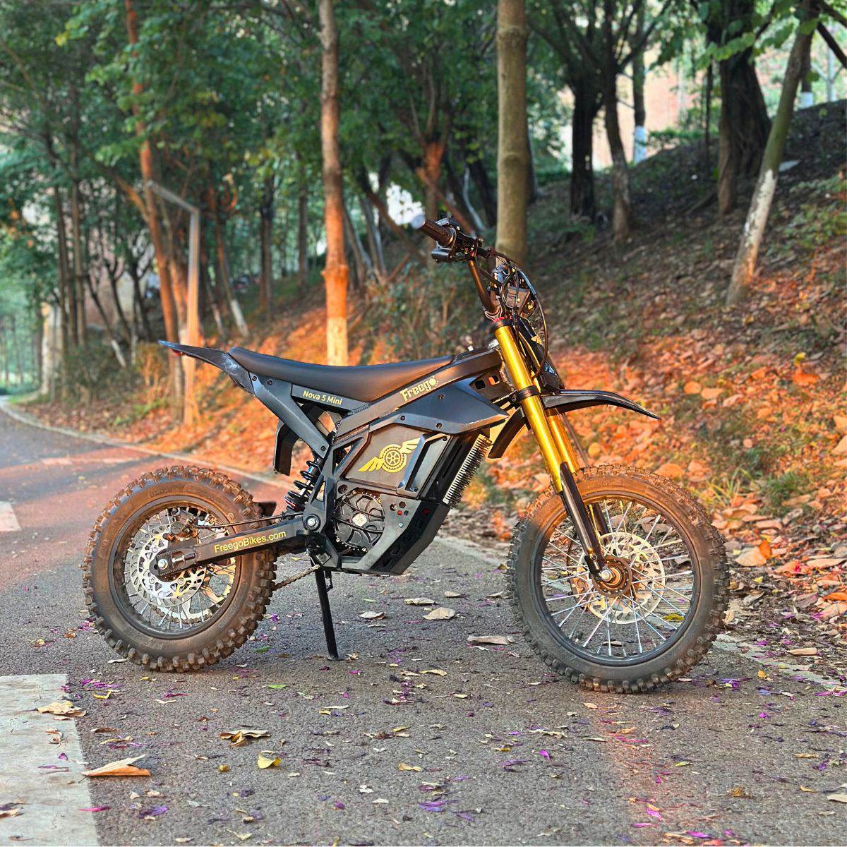 Freego Nova 5 Mini Ebike for Teens and Adults - Image 3