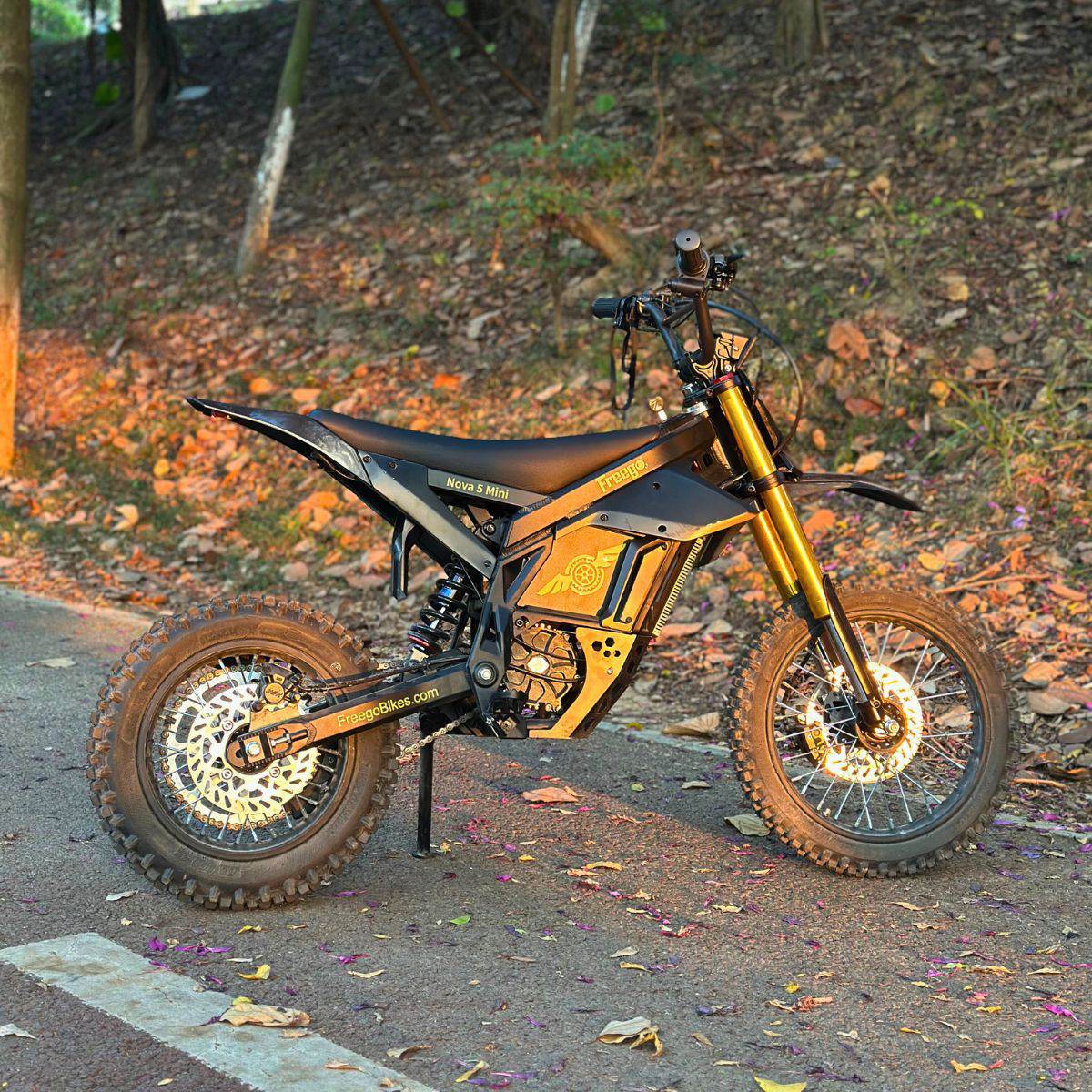 Freego Nova 5 Mini Ebike for Teens and Adults - Image 9