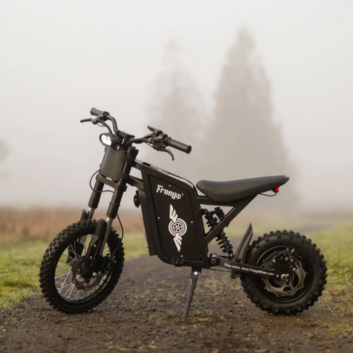 Freego X0 Electric Mini Bike for Teens and Adults - Image 13