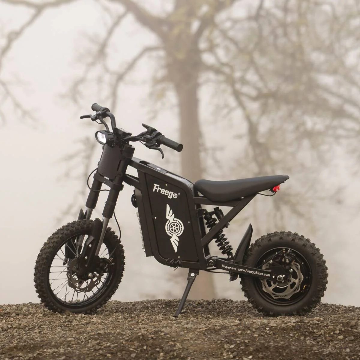 Freego X0 Electric Mini Bike for Teens and Adults - Image 8