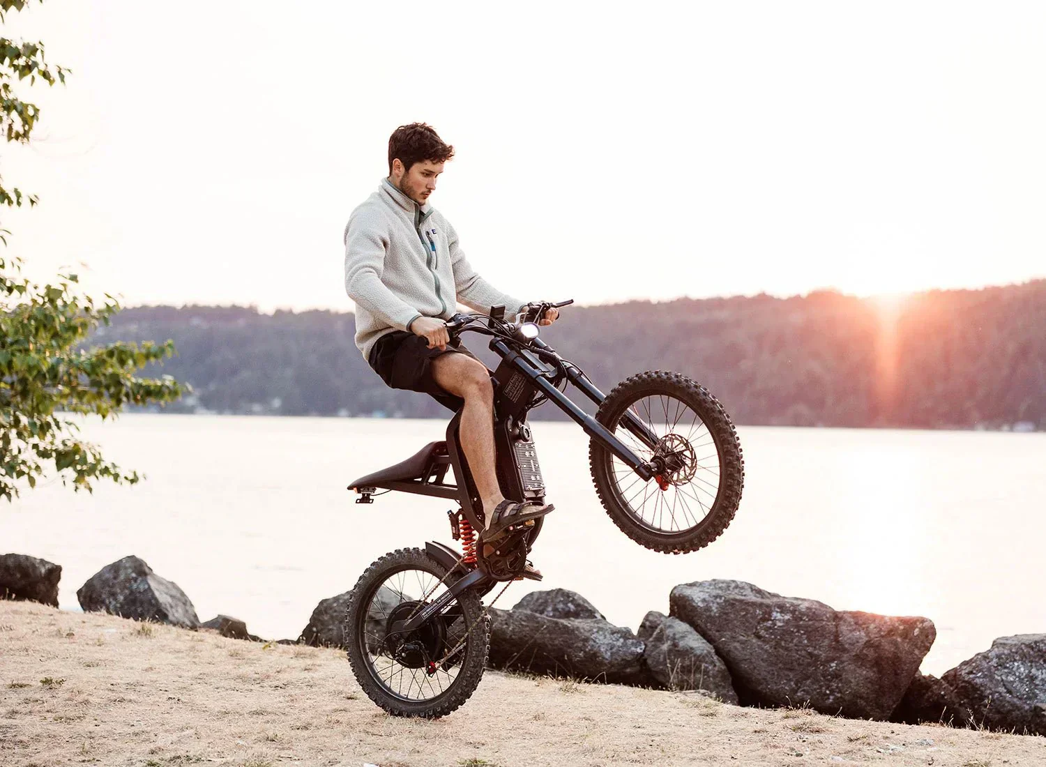 Freego X2 Dirt Master Off-Road eBike - Image 4