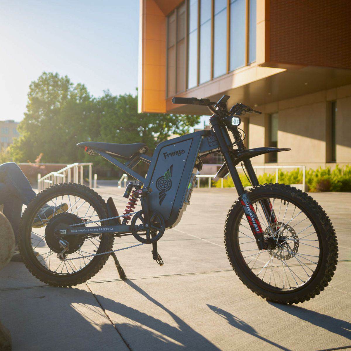 Freego X2 Pro All-Terrain Dirt eBike - Image 19
