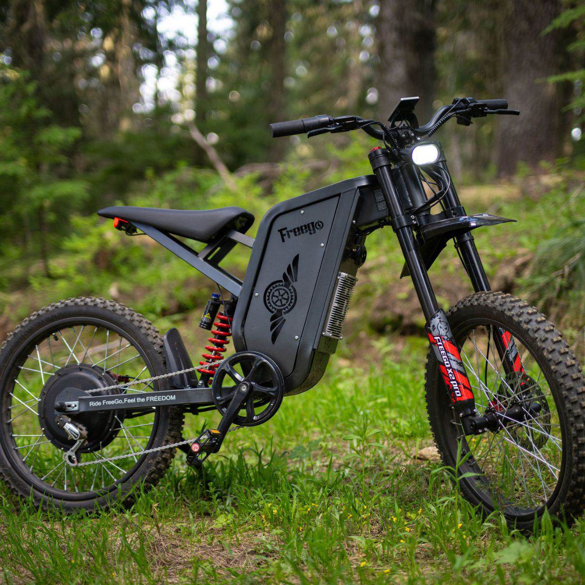 Freego X2 Pro All-Terrain Dirt eBike - Image 20