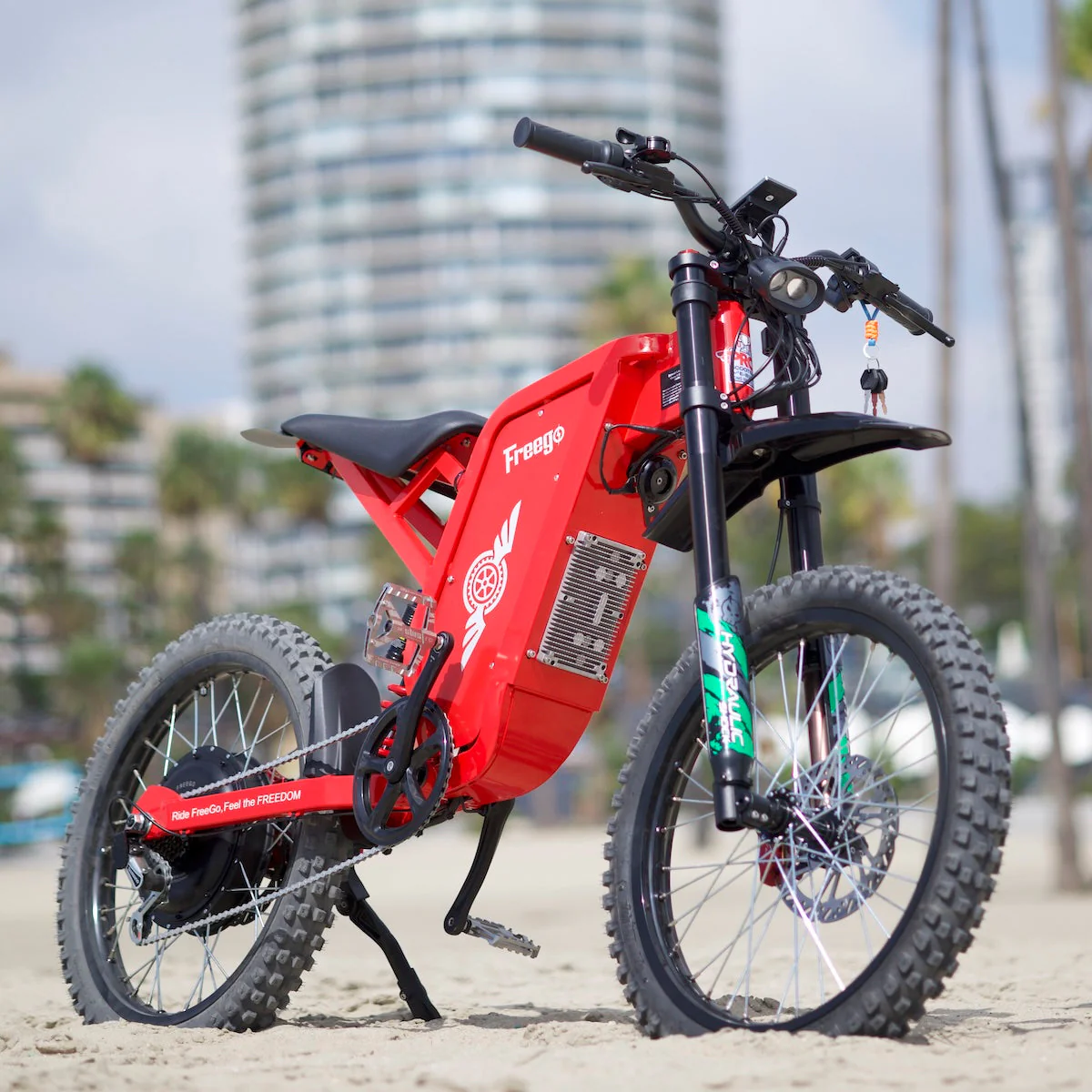Freego X2 Pro All-Terrain Dirt eBike - Image 24