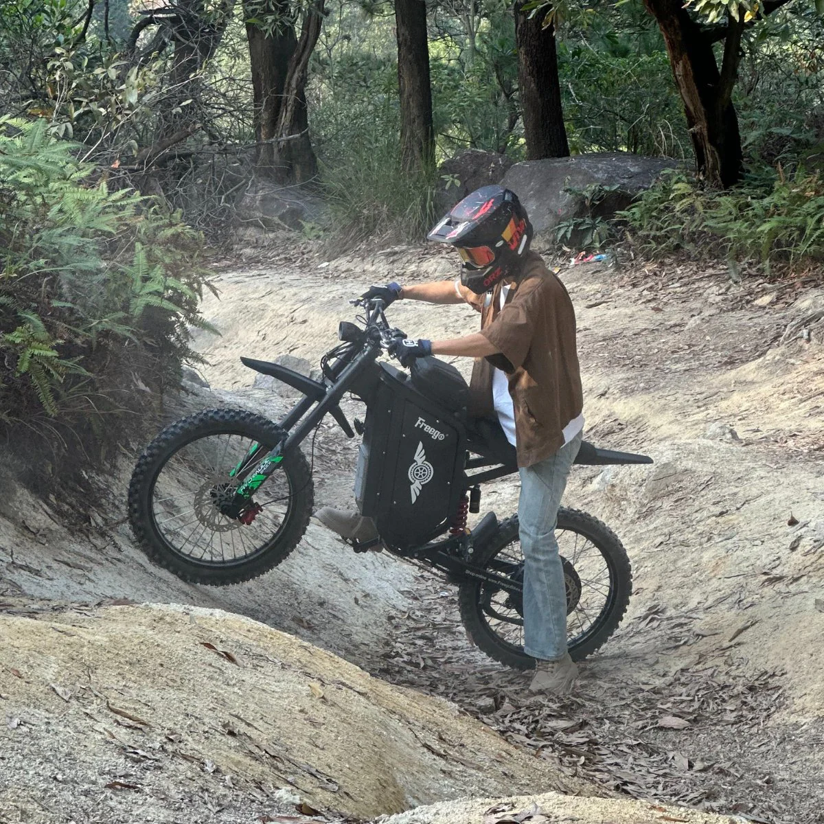 Freego X3 All-Terrain Electric Dirt Bike with Pedals - Image 17