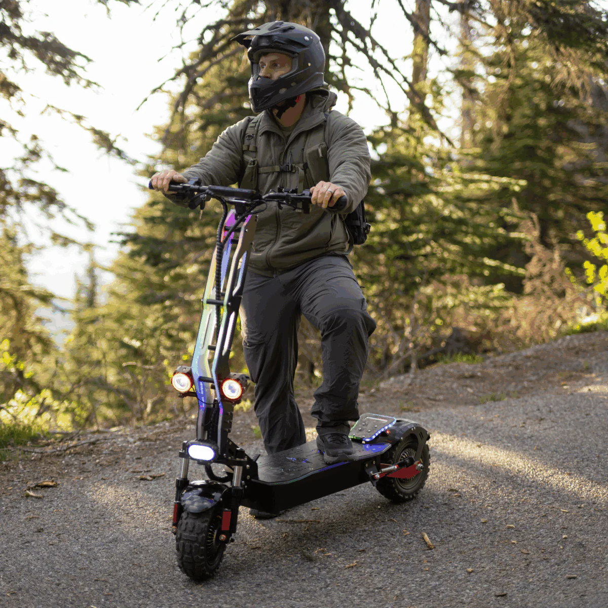 Freego D11 Landtiger Electric Scooter Foldable Dual Motor 4000W - Image 3
