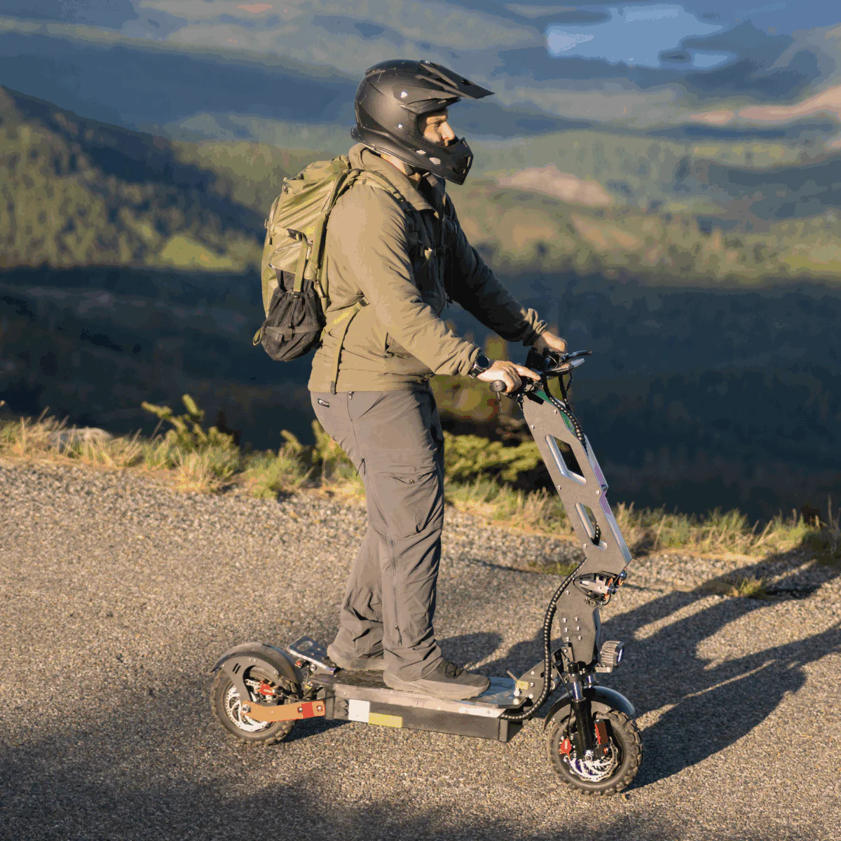 Freego D11 Landtiger Electric Scooter Foldable Dual Motor 4000W - Image 7