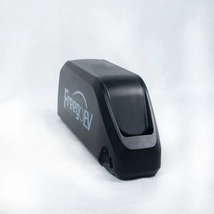 Lithium Battery Pack for Freego electric bikes - Image 3
