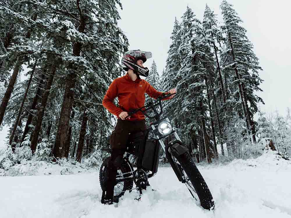 Freego S1 Cafe Racer eBike - Image 5